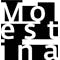 Molestina Architekten GmbH