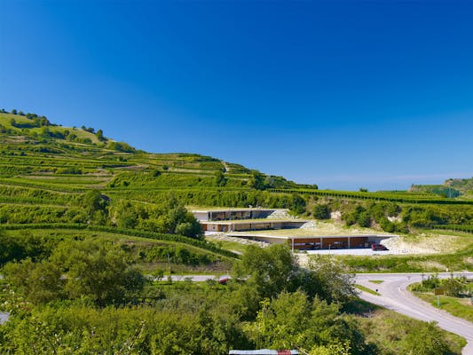 Projekt Weingut Franz Keller Competitionline