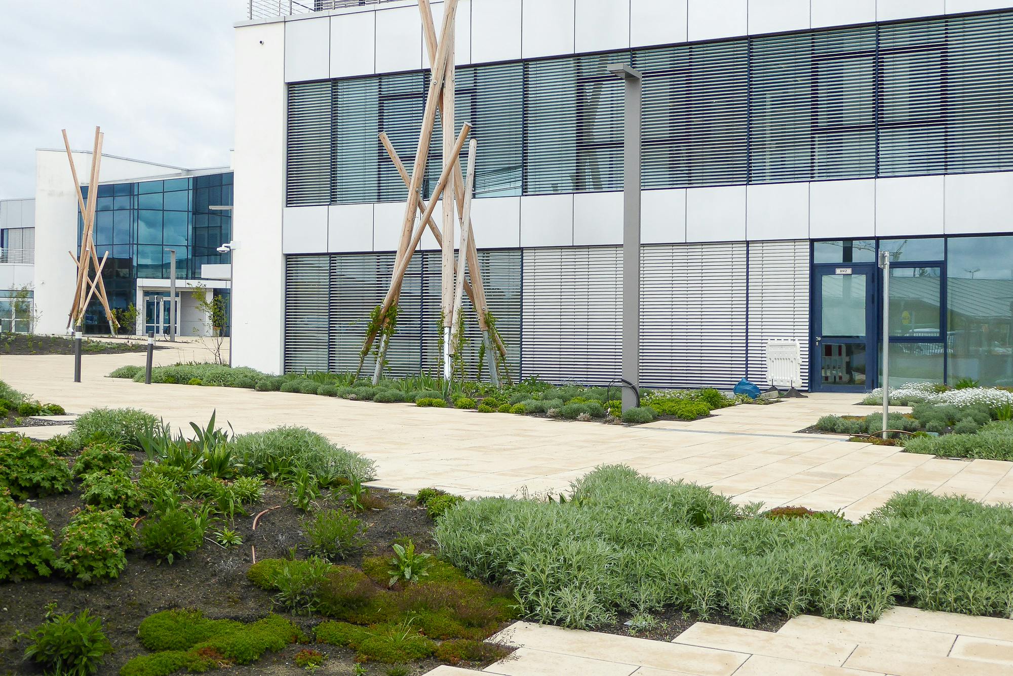 Projekt Hexal Campus Competitionline